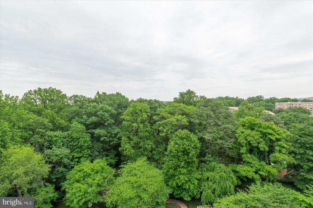 3601 CONNECTICUT AVENUE NW 816