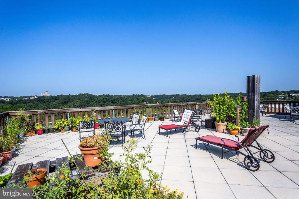 1801 CLYDESDALE PLACE NW Unit: 704