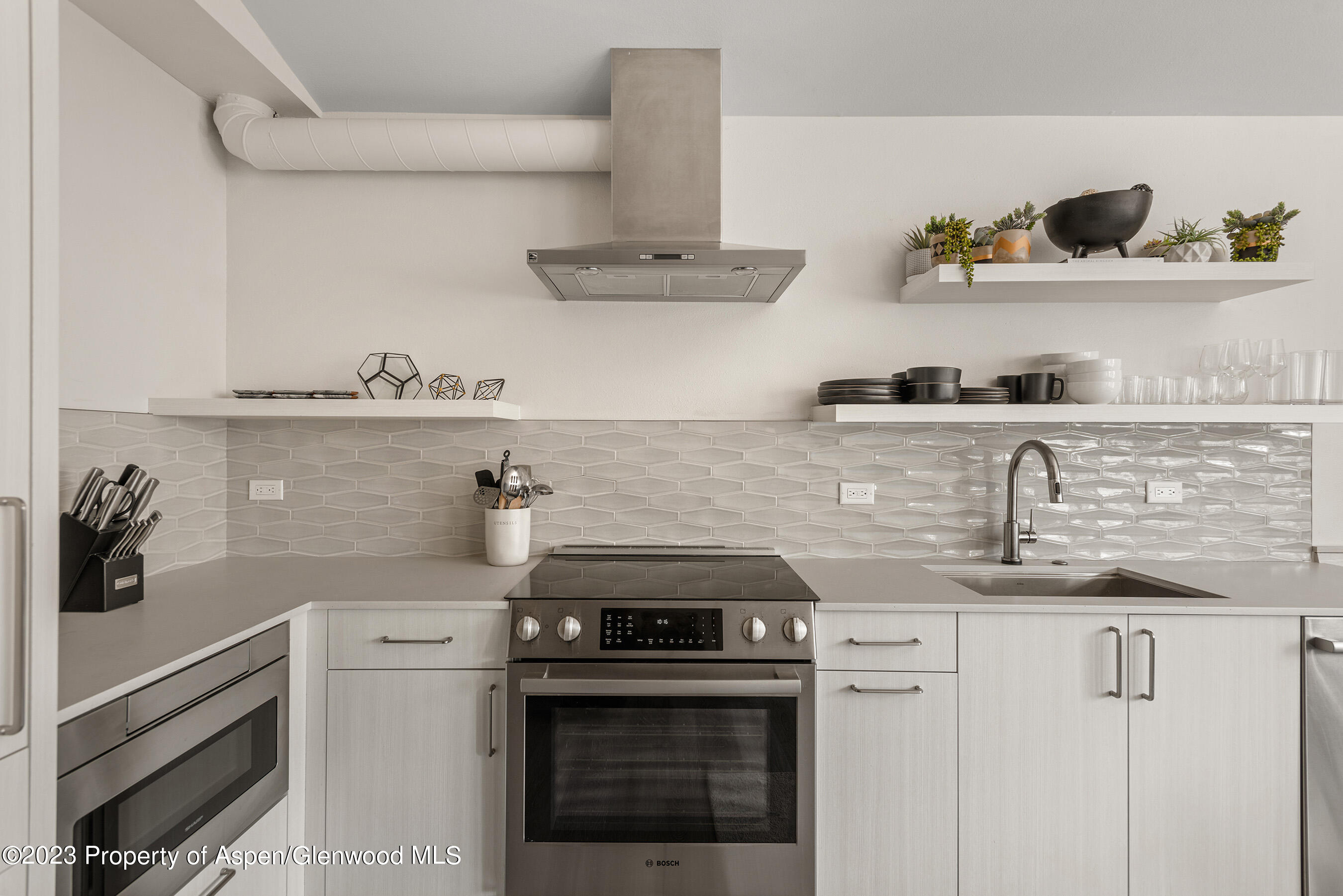 220 W Main Street, 210/P1/B6, Aspen Unit: 210/P1/B6