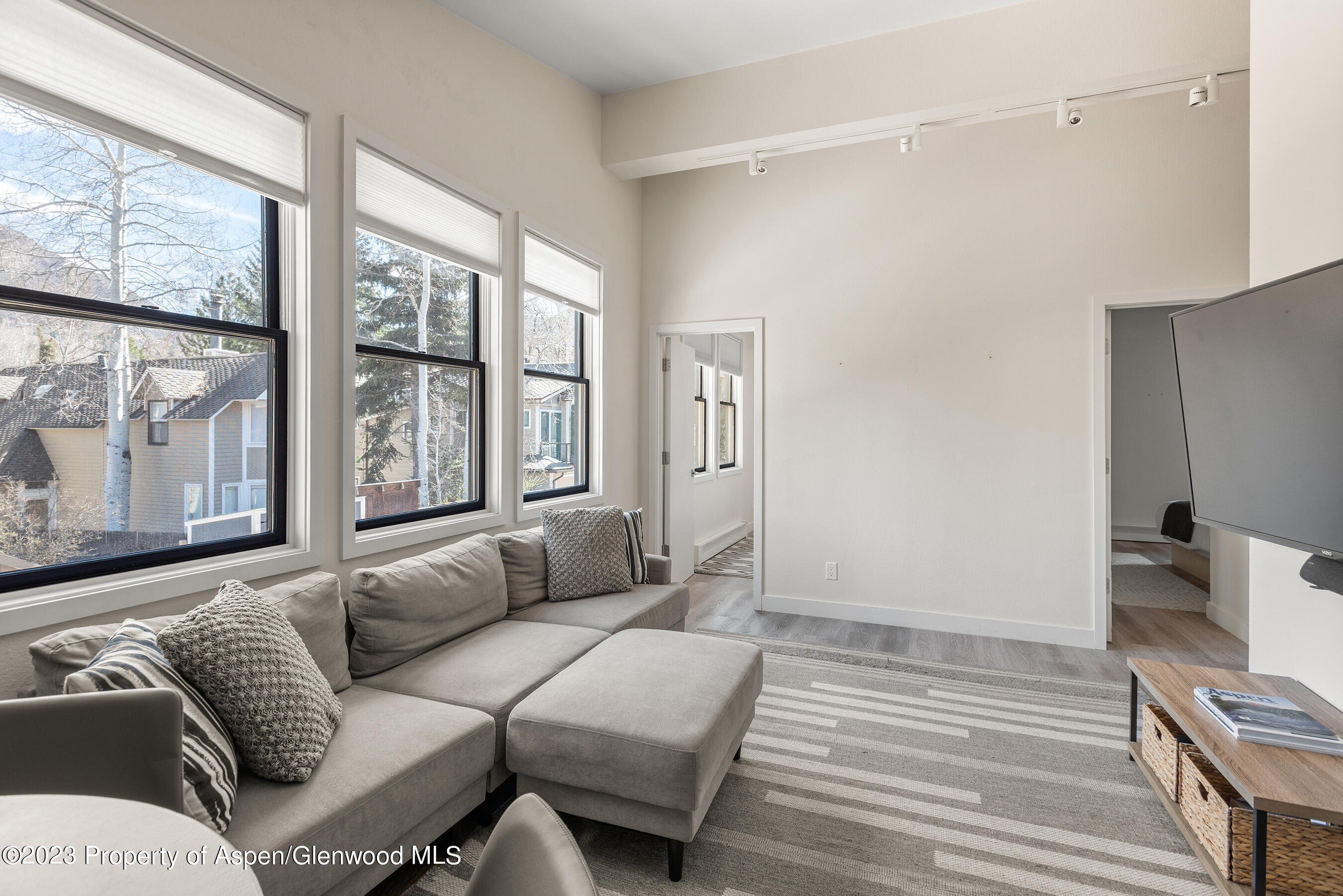 220 W Main Street, 210/P1/B6, Aspen Unit: 210/P1/B6