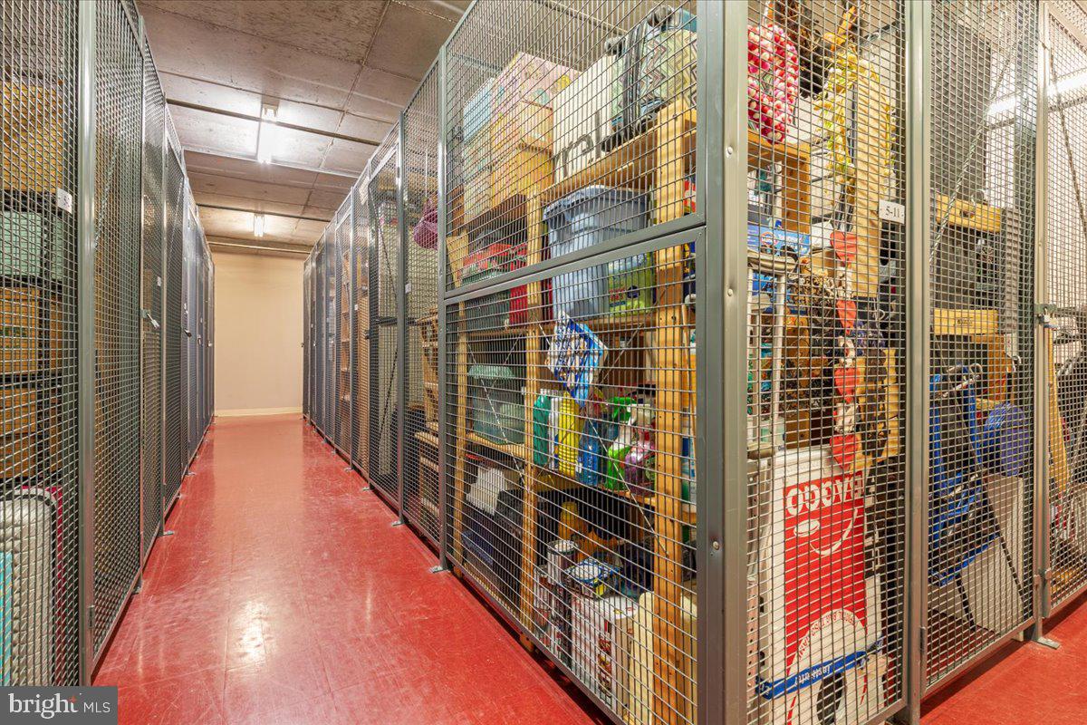 444 W BROAD STREET 509