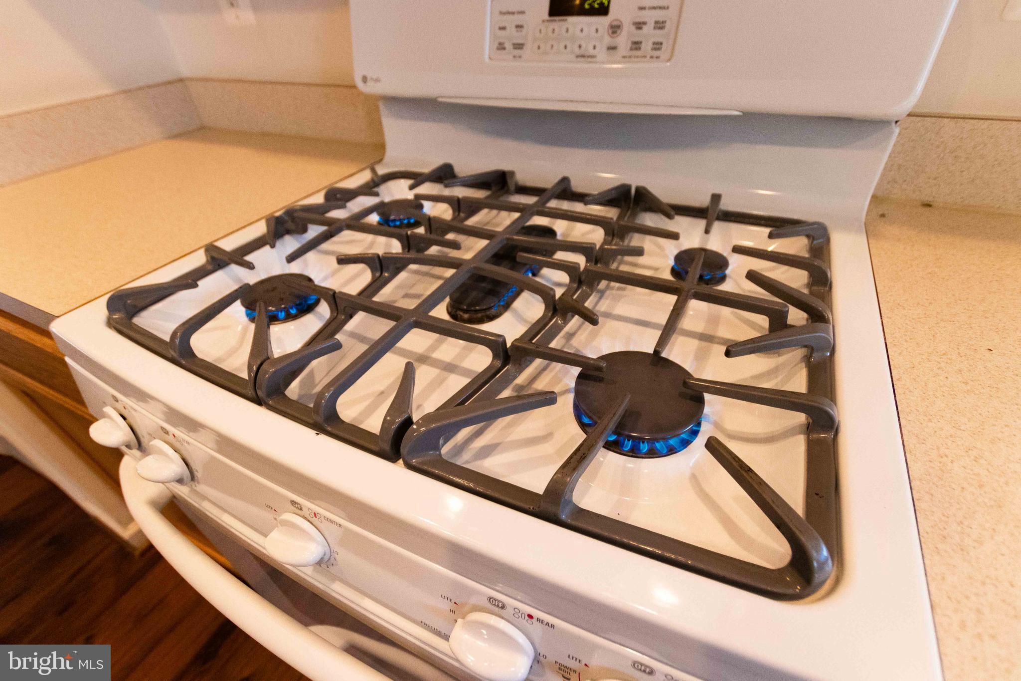 6679 CLARKES MEADOW DRIVE