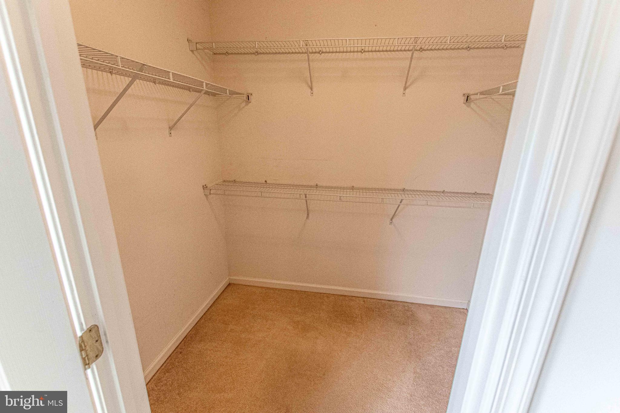 6679 CLARKES MEADOW DRIVE