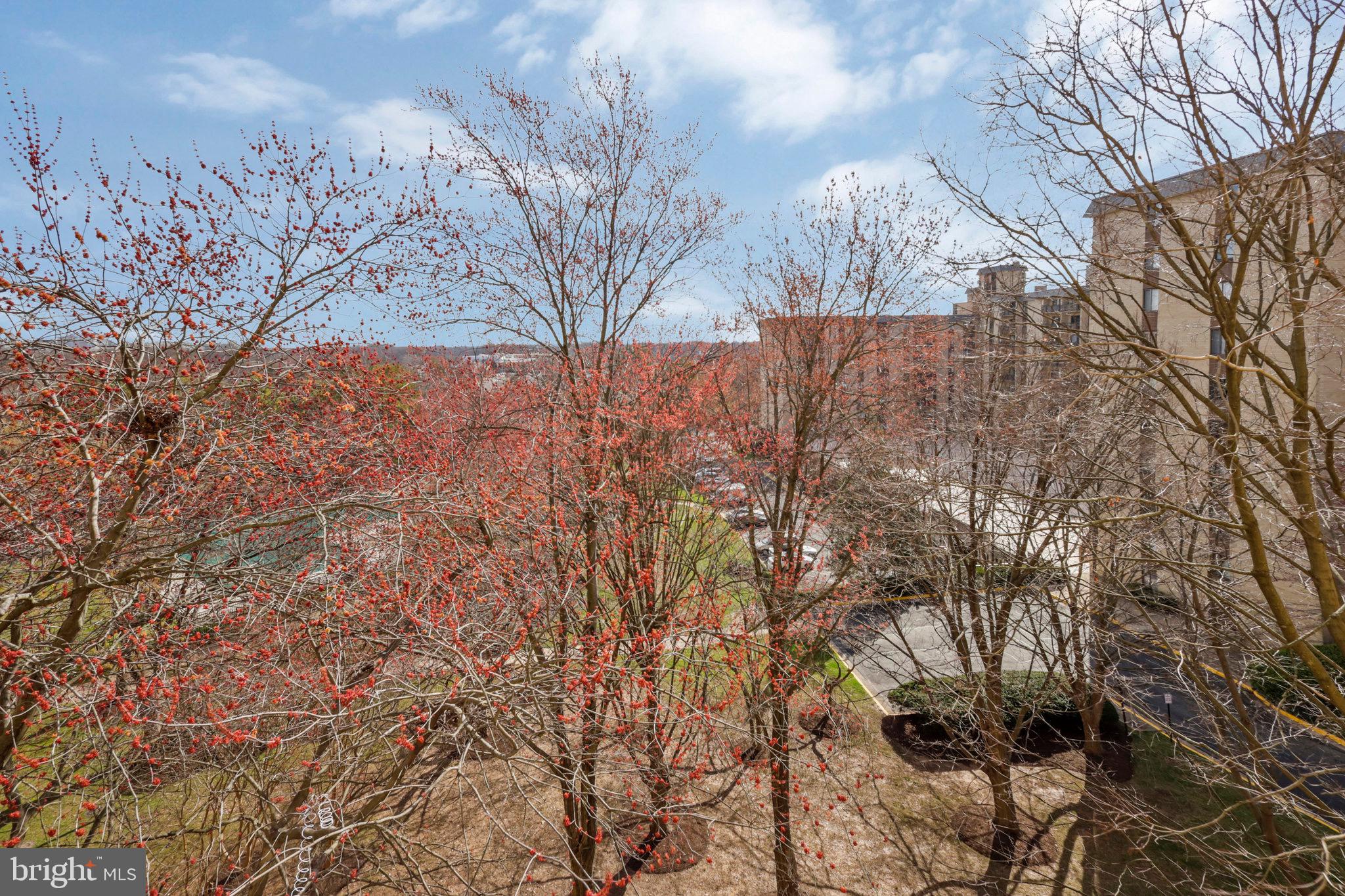 6001 ARLINGTON BOULEVARD 621