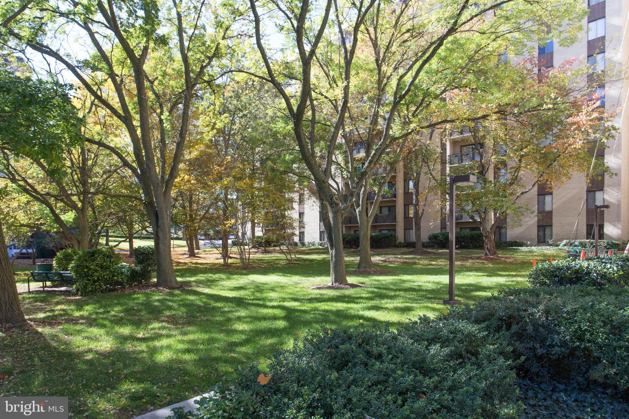 6001 ARLINGTON BOULEVARD 621