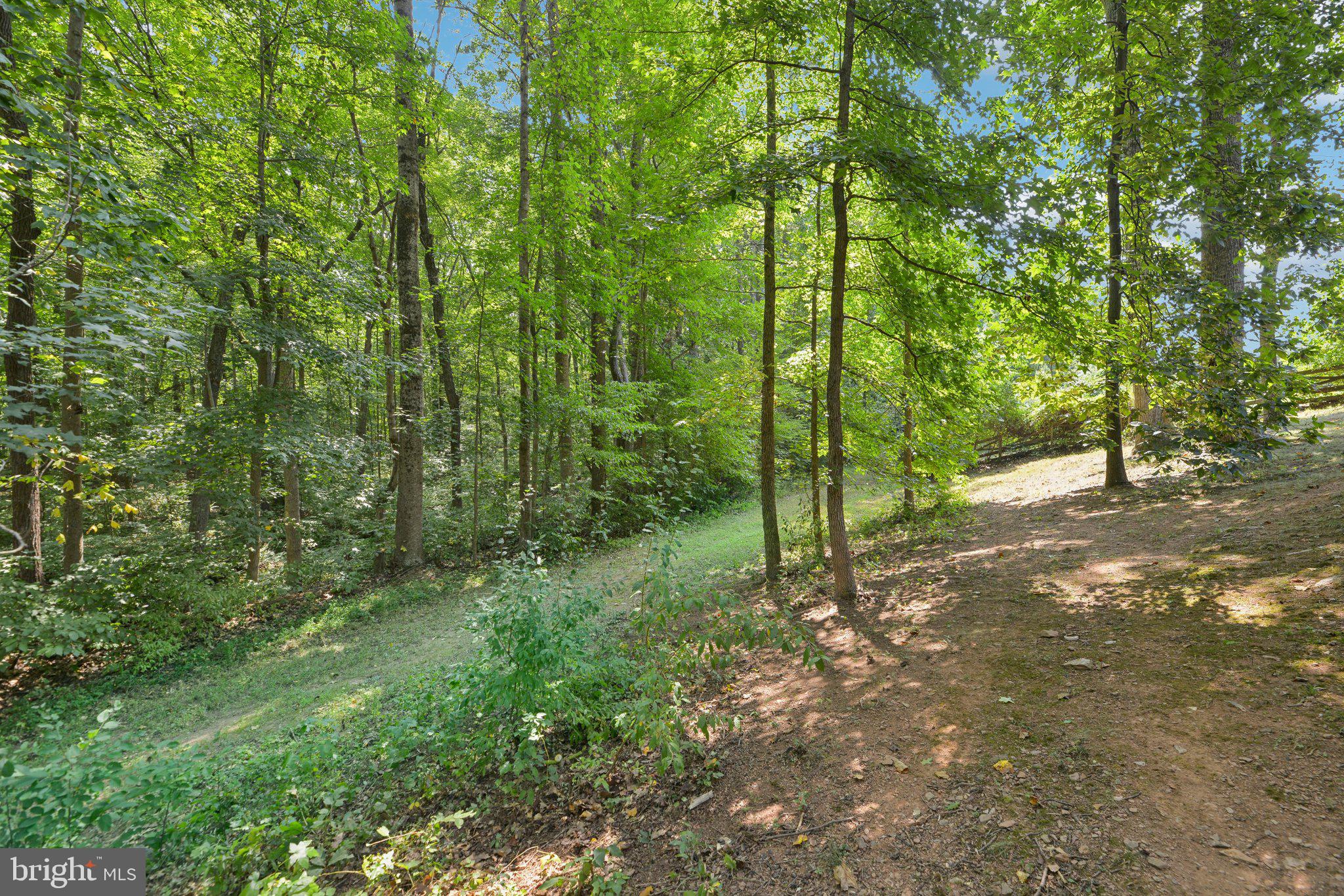 5307 HAMPTON FOREST WAY