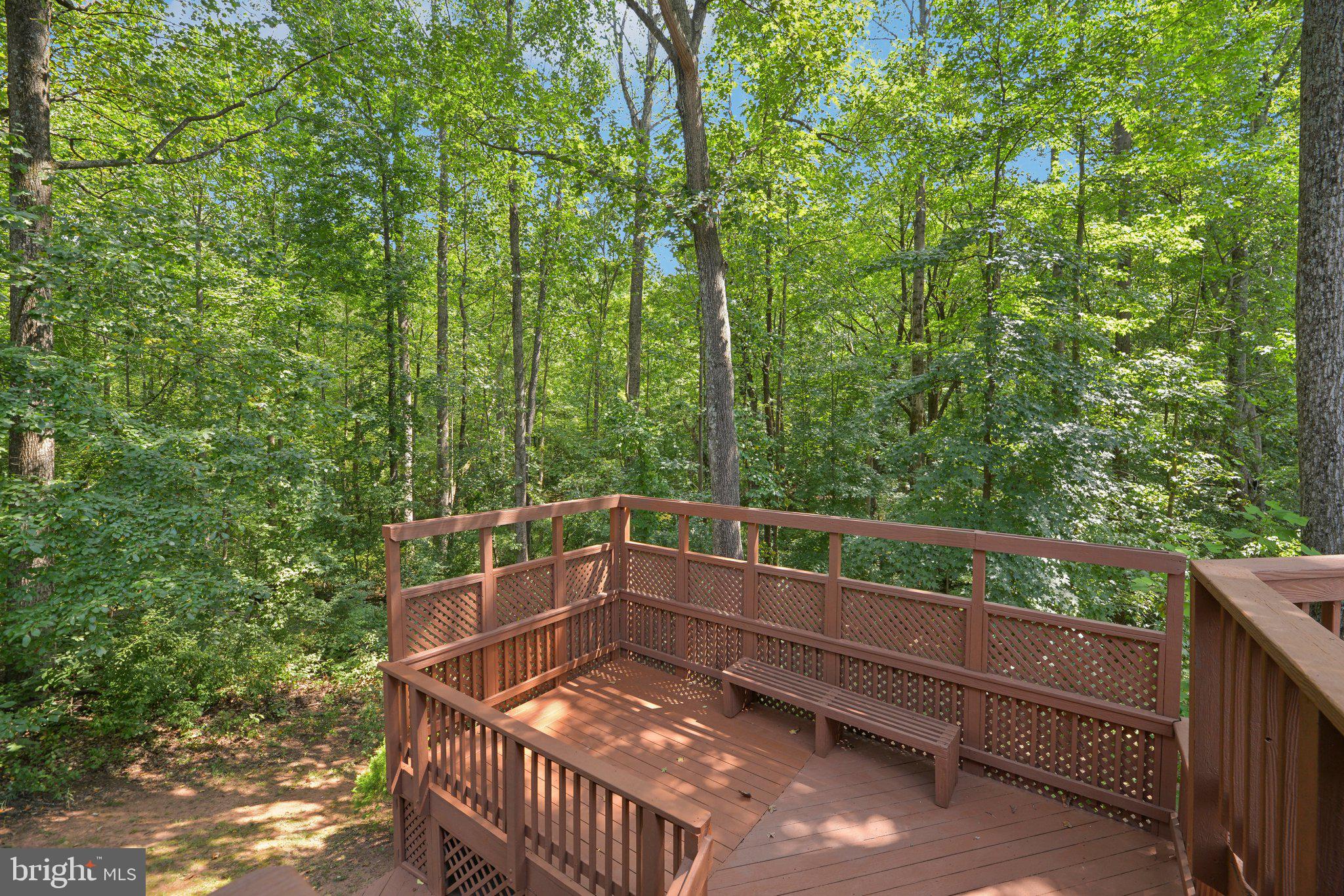 5307 HAMPTON FOREST WAY