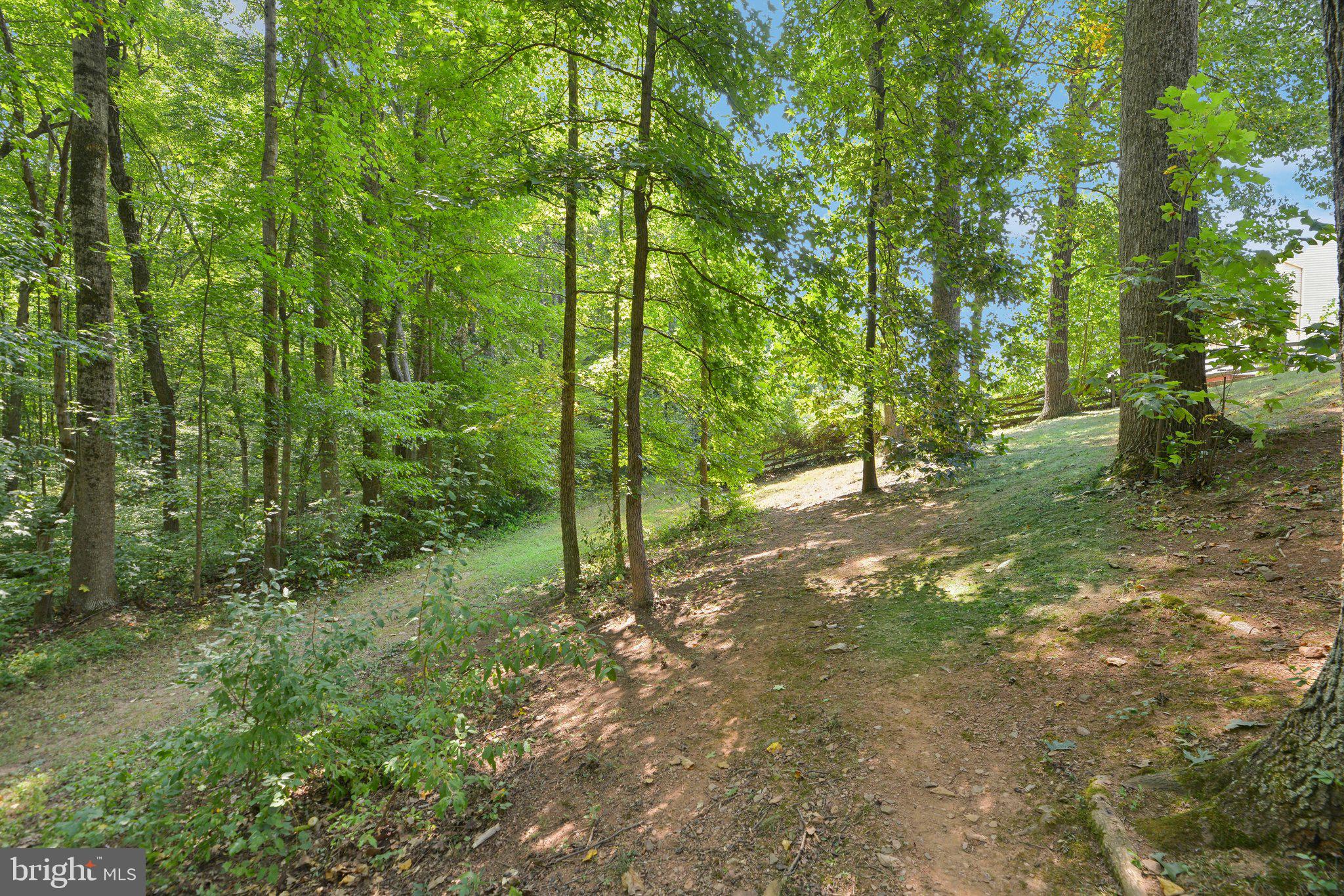 5307 HAMPTON FOREST WAY