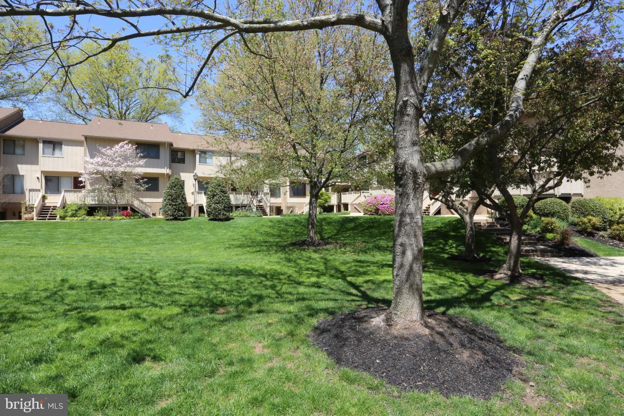 2590 GLENGYLE DRIVE 115