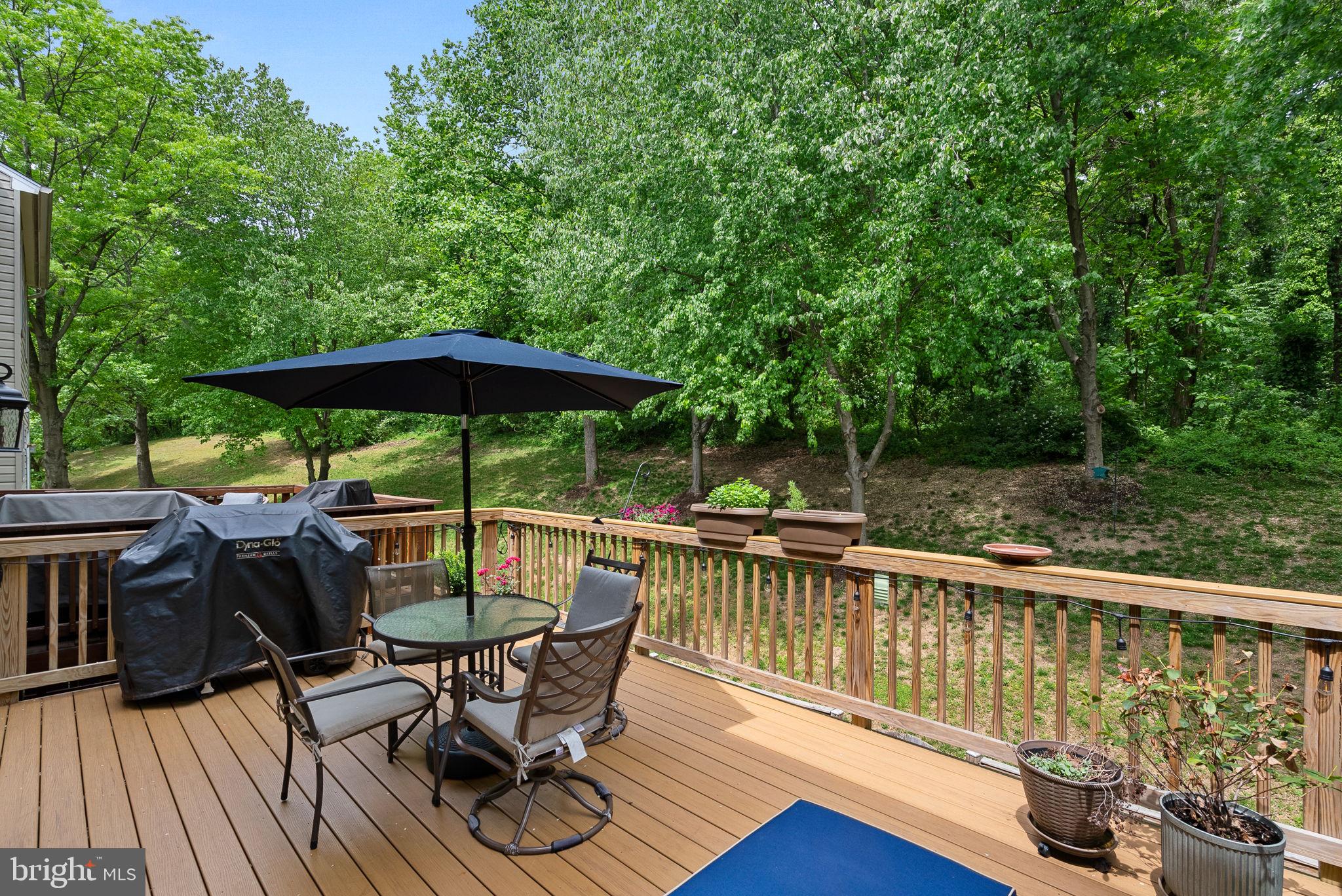 5604 GLENWOOD MEWS DRIVE