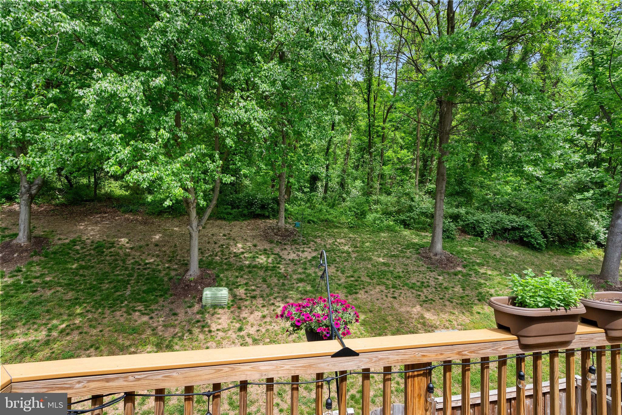 5604 GLENWOOD MEWS DRIVE