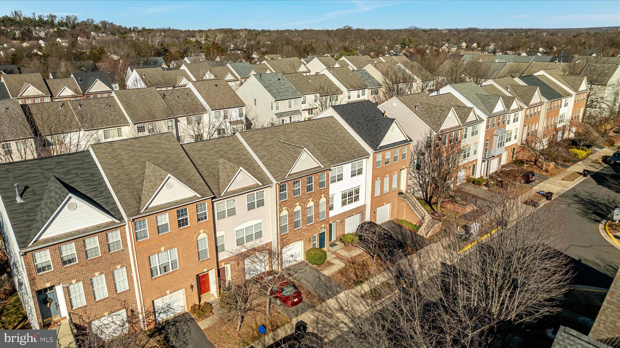 21491 RUSTY BLACKHAW SQUARE