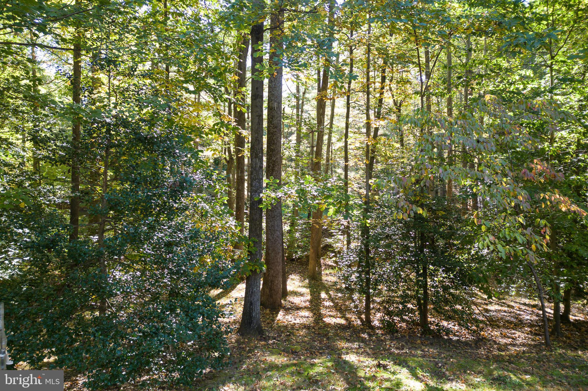 10419 MOUNT VERNON DRIVE