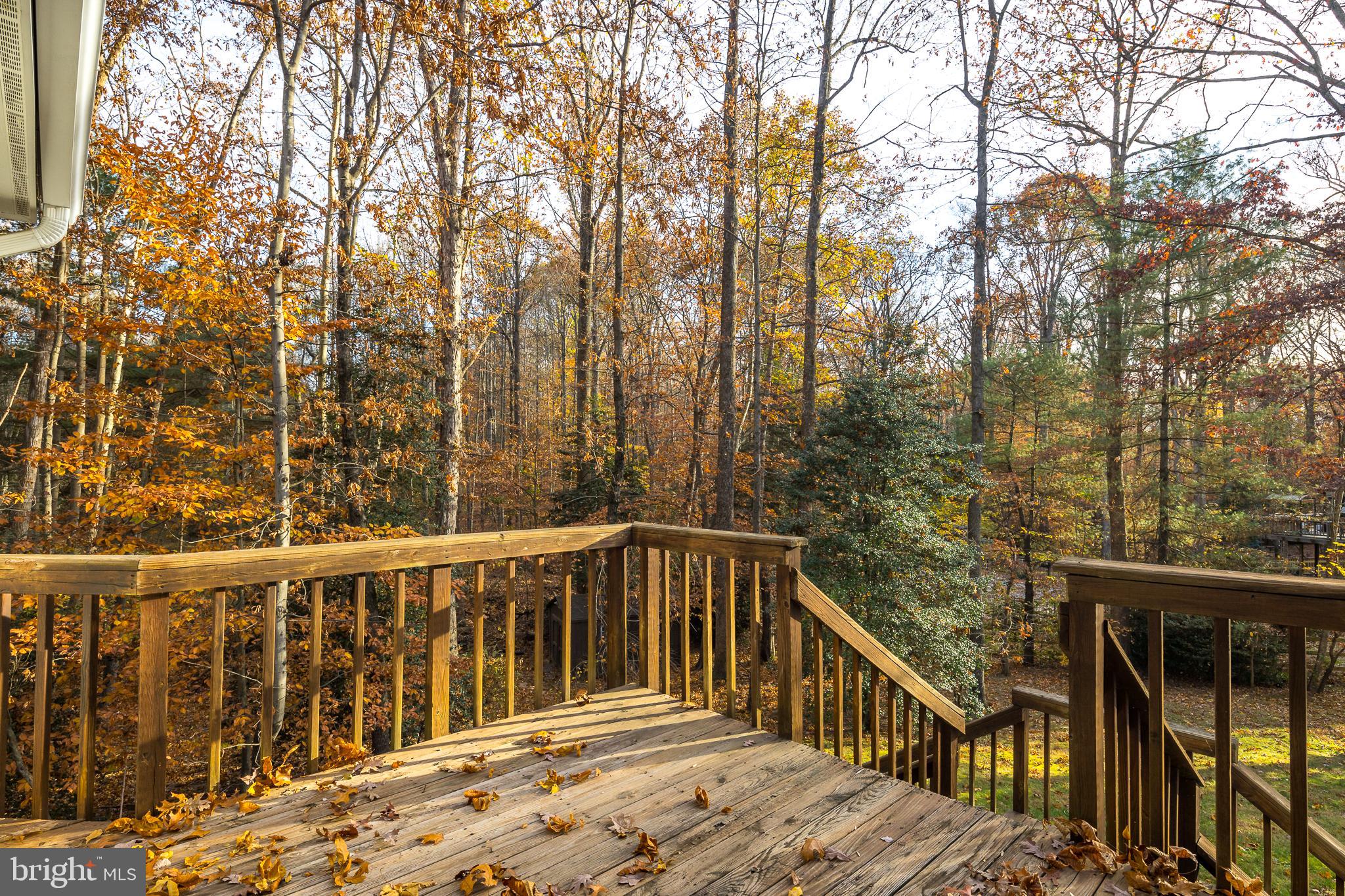 10419 MOUNT VERNON DRIVE