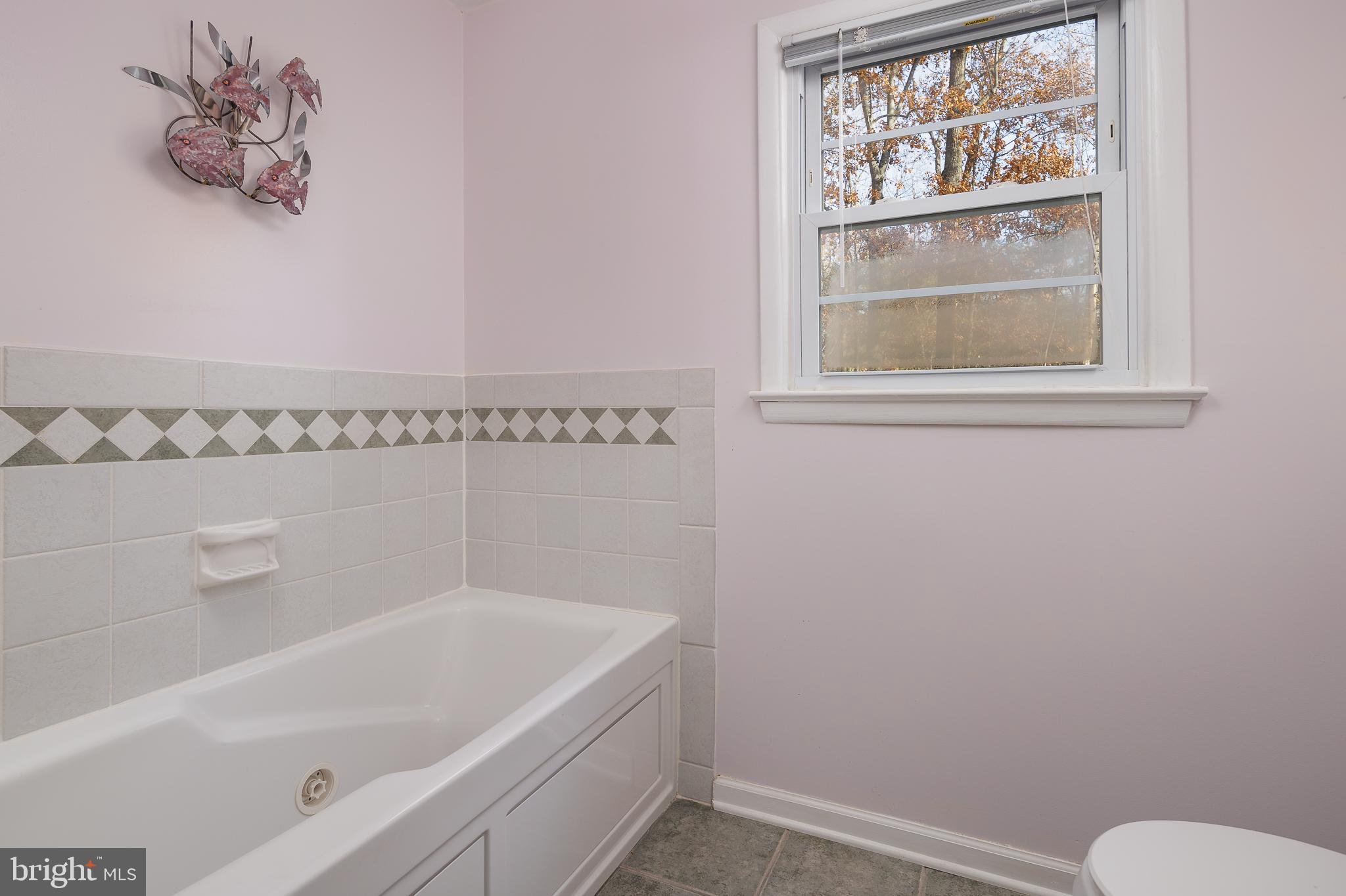 10419 MOUNT VERNON DRIVE