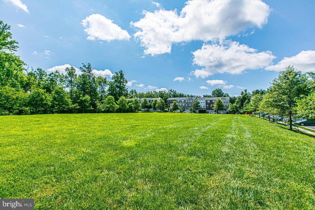 15996 GREYMILL MANOR DRIVE