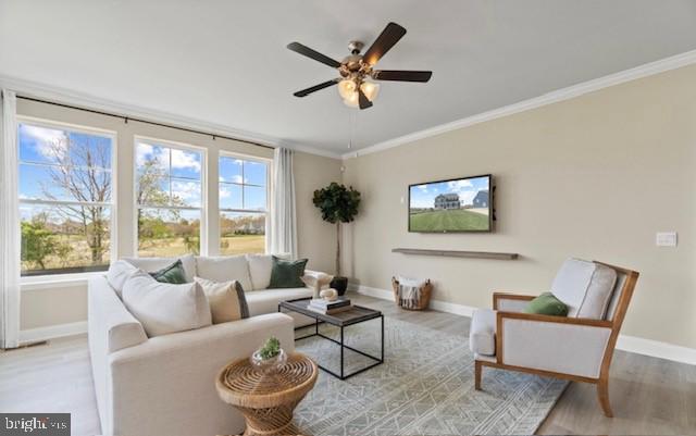 808 LONG MEADOW DRIVE