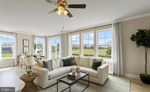 808 LONG MEADOW DRIVE