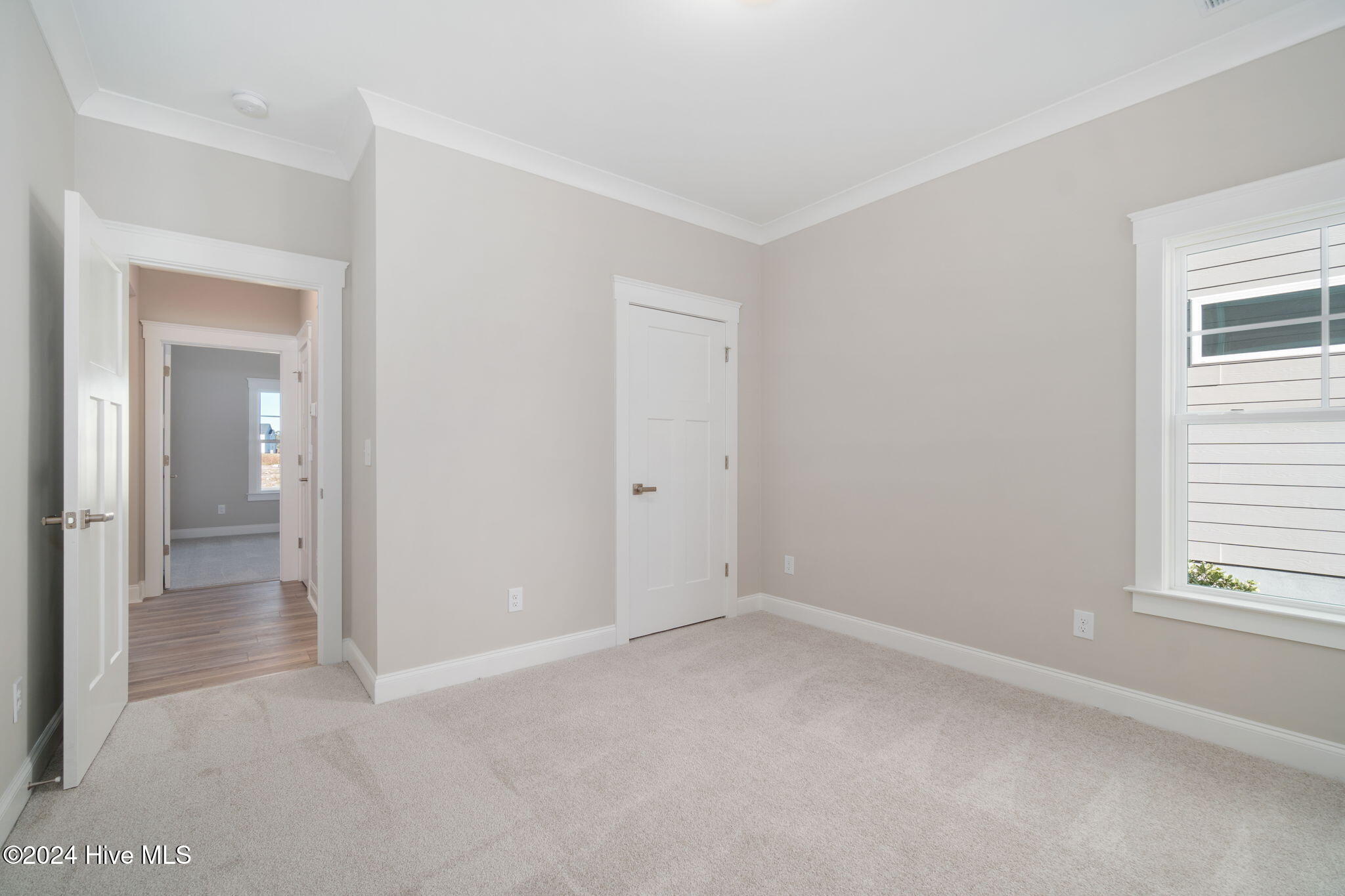 204 Windswept Lane