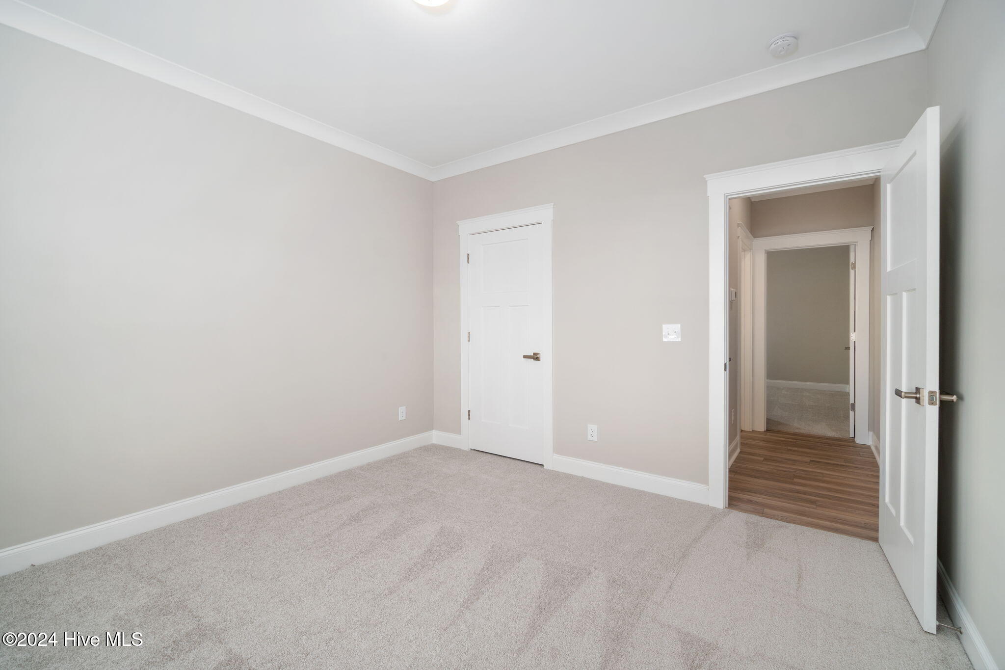 204 Windswept Lane