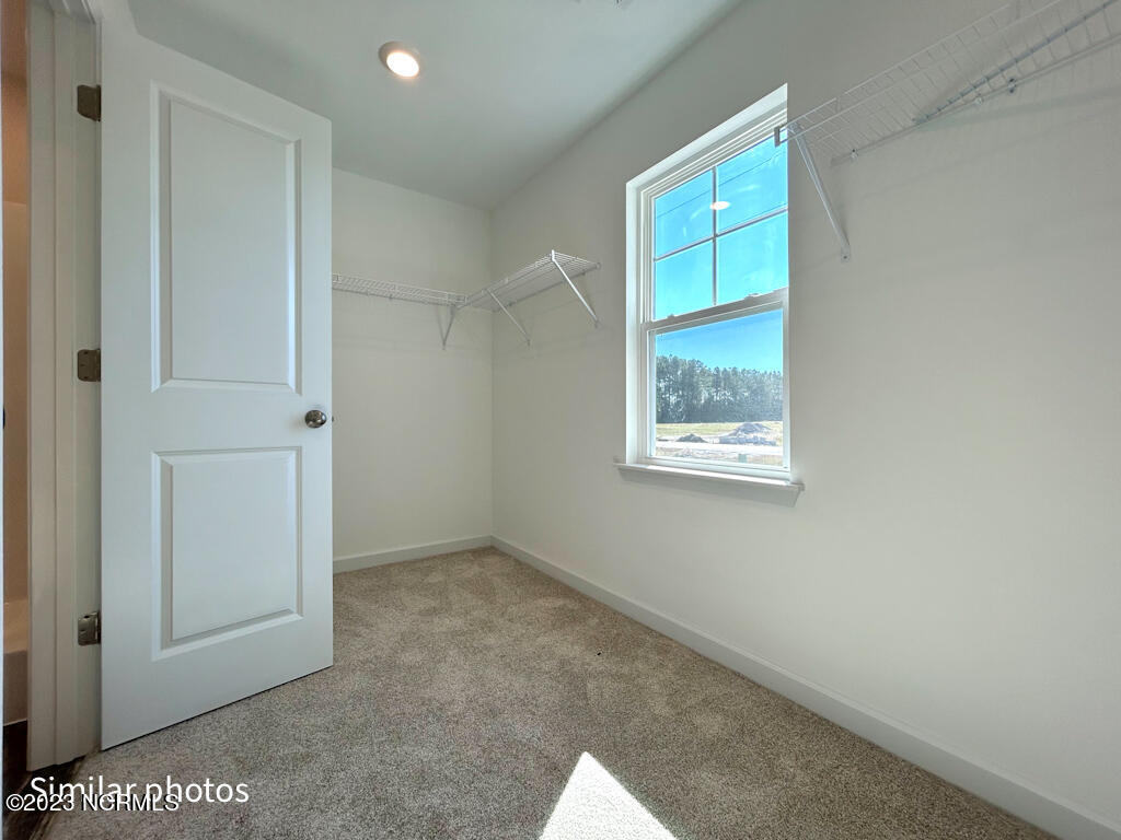319 Cotton Hill Place