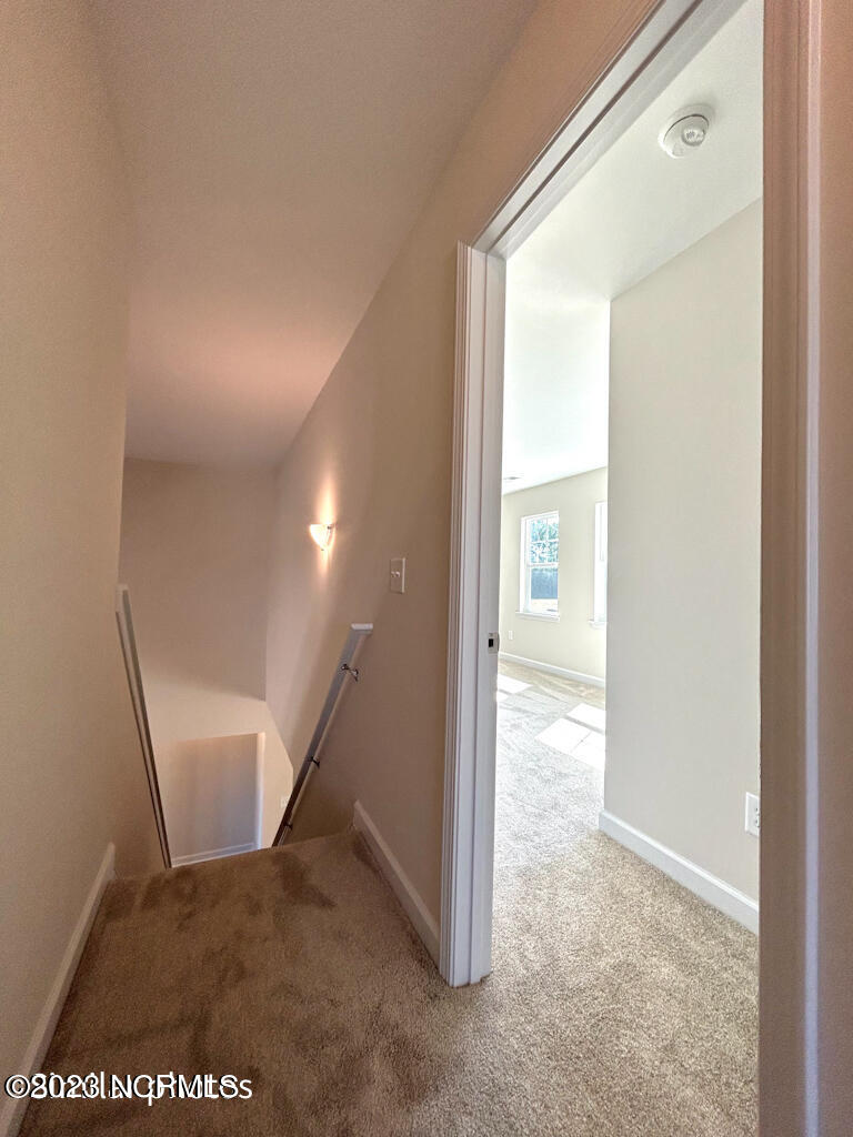 319 Cotton Hill Place