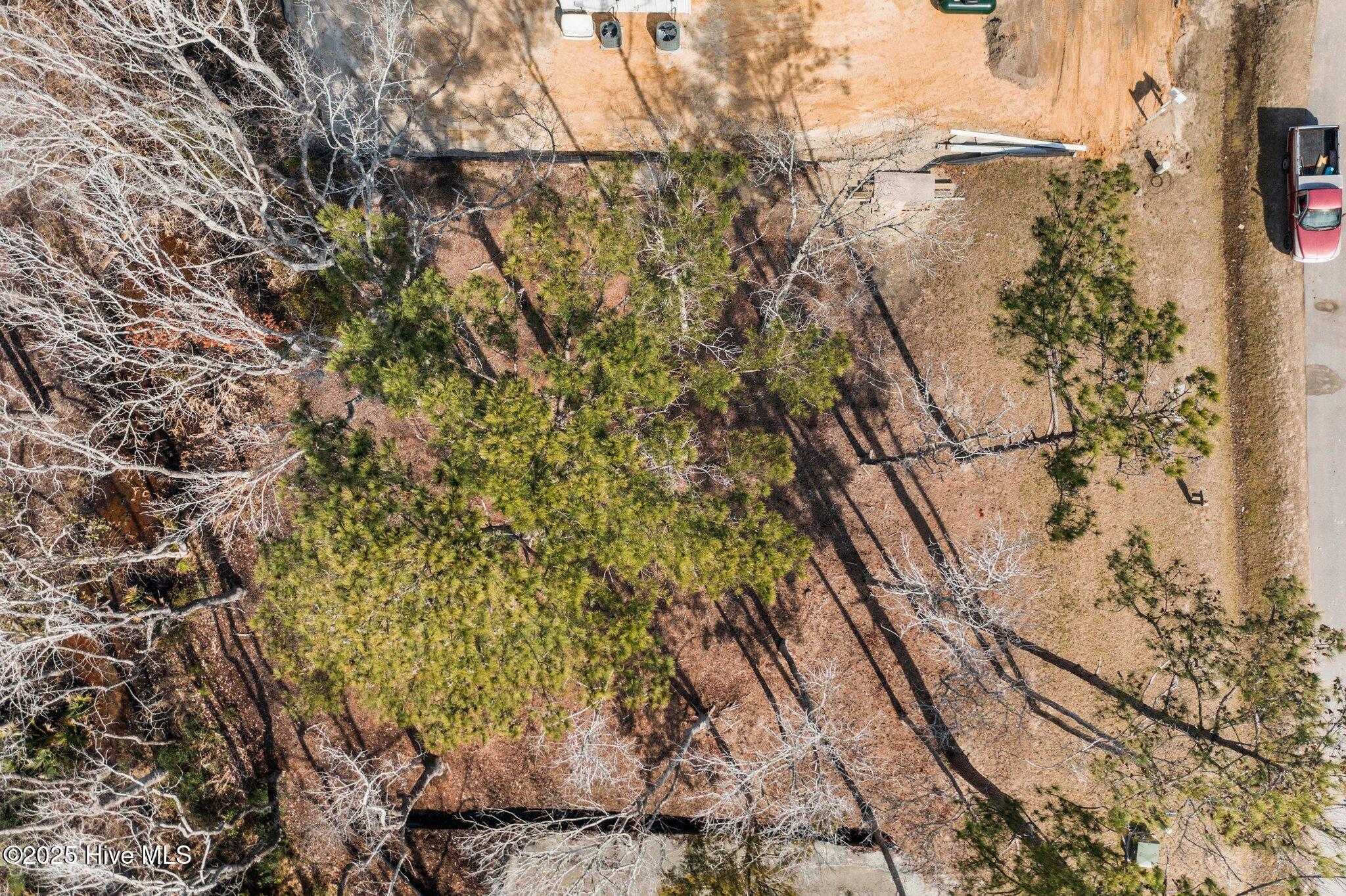 545 Avocet Drive