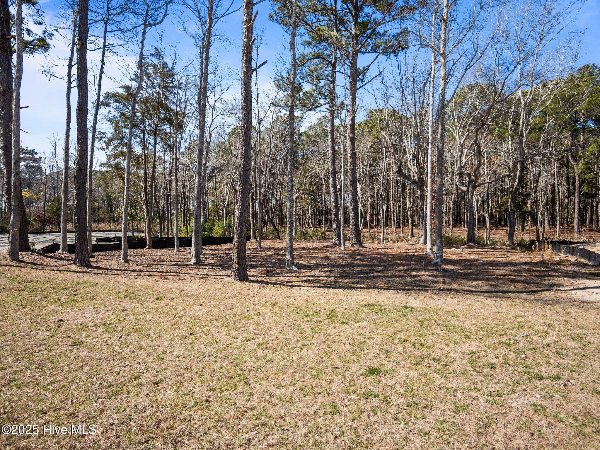 545 Avocet Drive