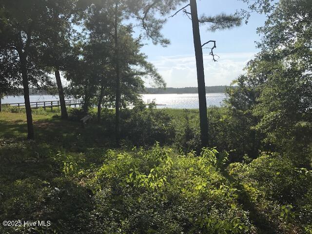 3247 Mullet Creek Place SE