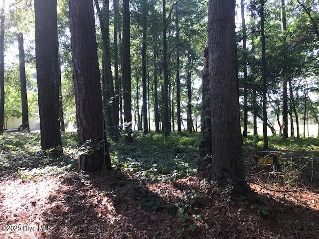 3247 Mullet Creek Place SE