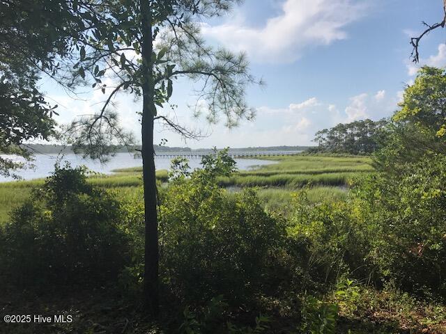 3247 Mullet Creek Place SE