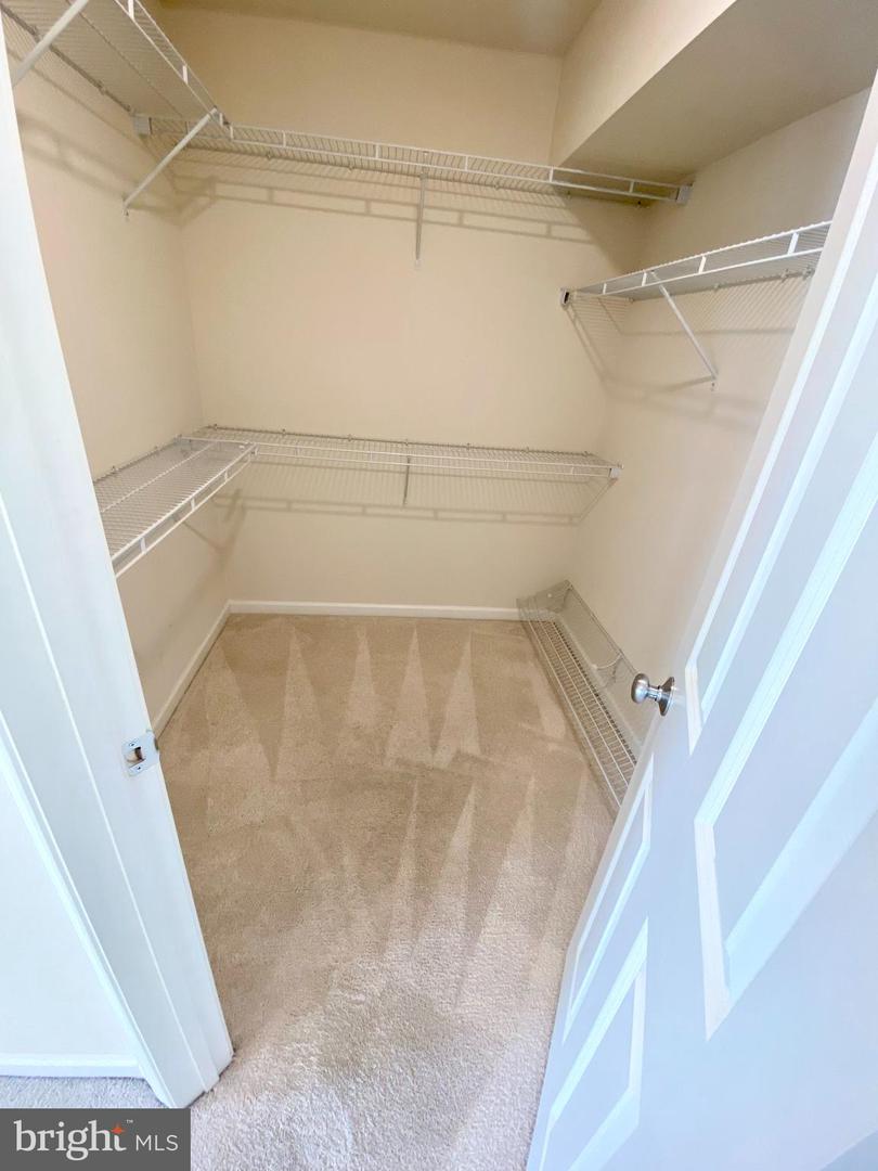 4336 VIRIDIAN TERRACE