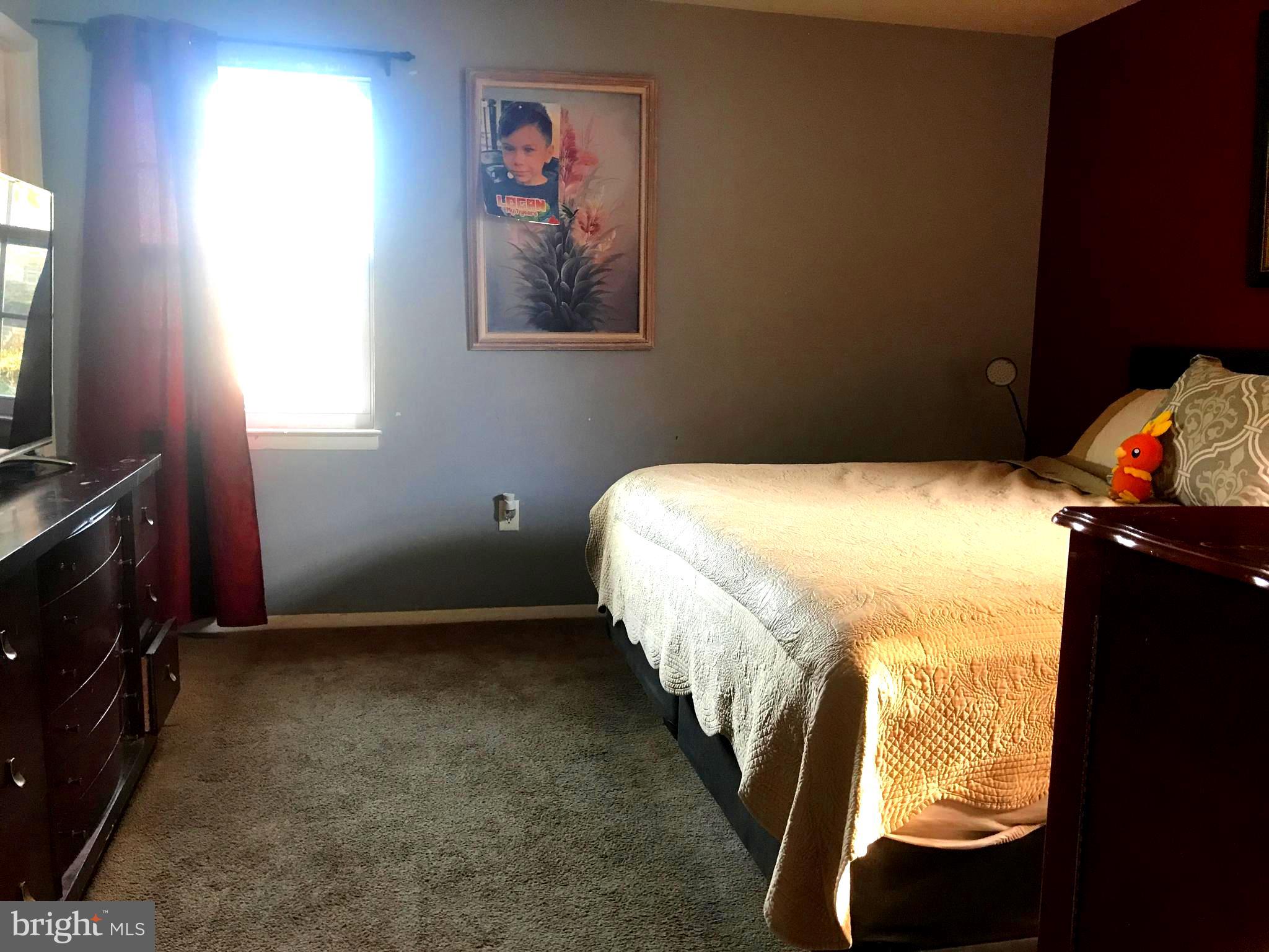 18532 Mountain Laurel TERRACE