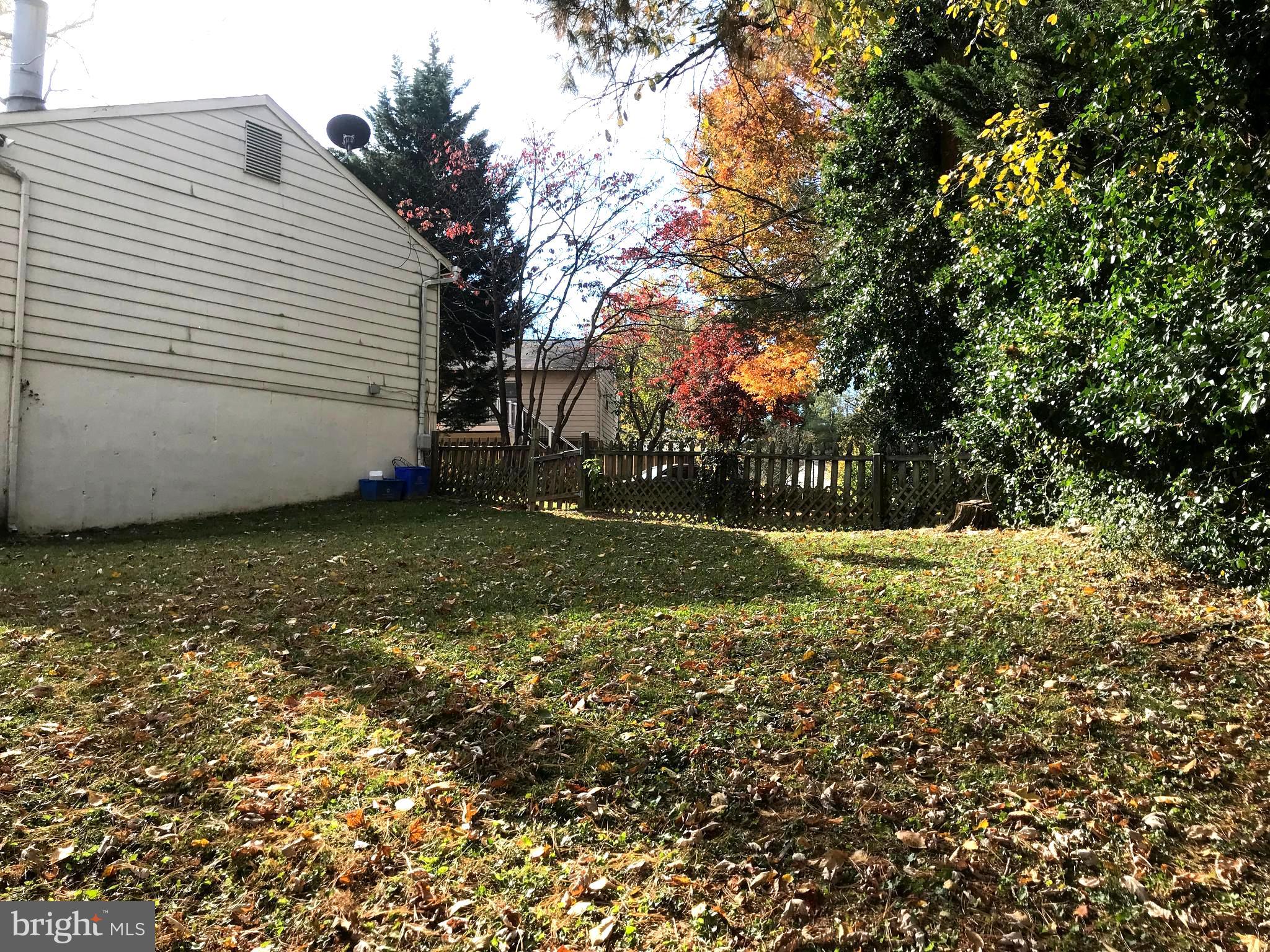 18532 Mountain Laurel TERRACE