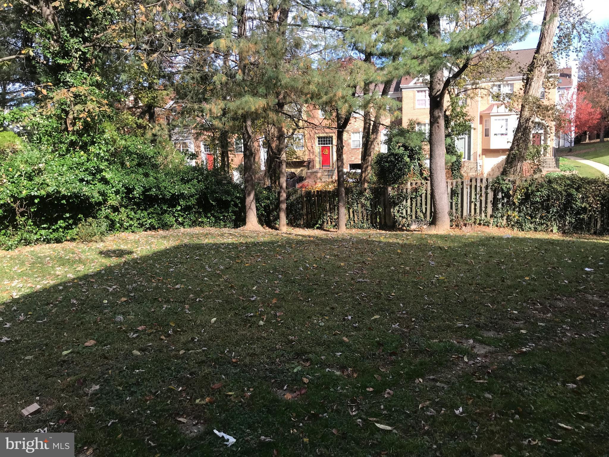 18532 Mountain Laurel TERRACE