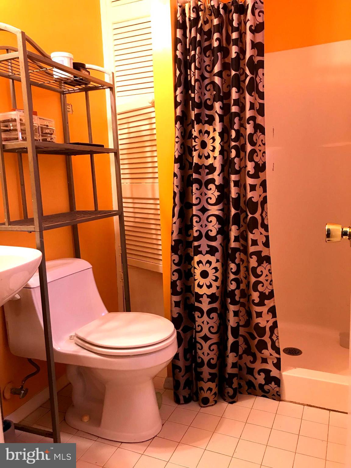 18532 Mountain Laurel TERRACE