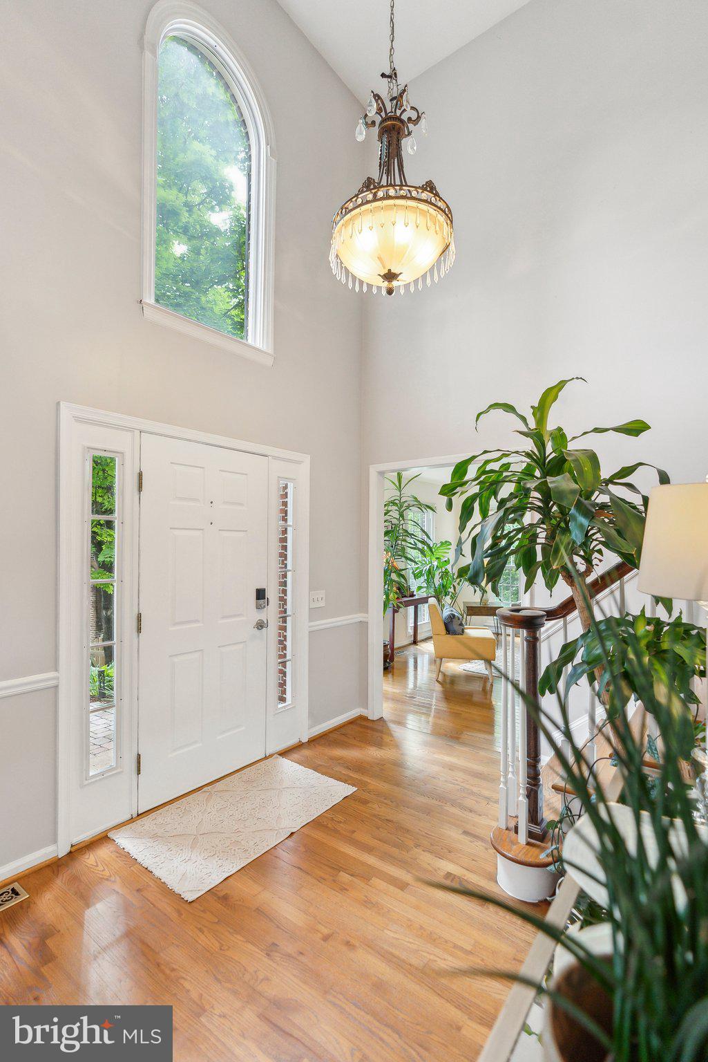20309 Crown Ridge Ct
