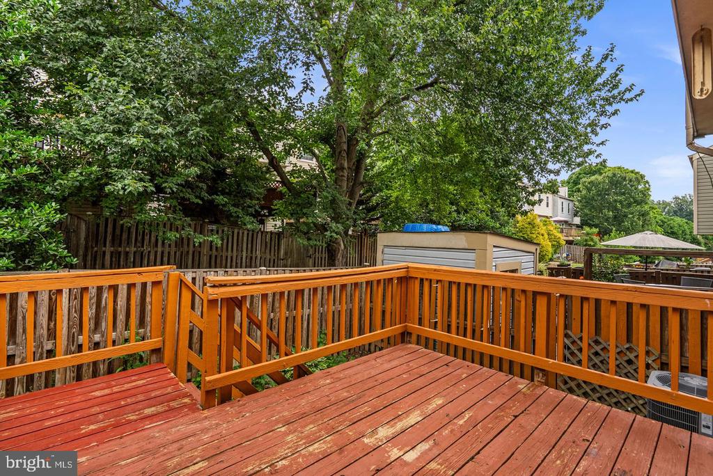 12539 CORAL GROVE PLACE