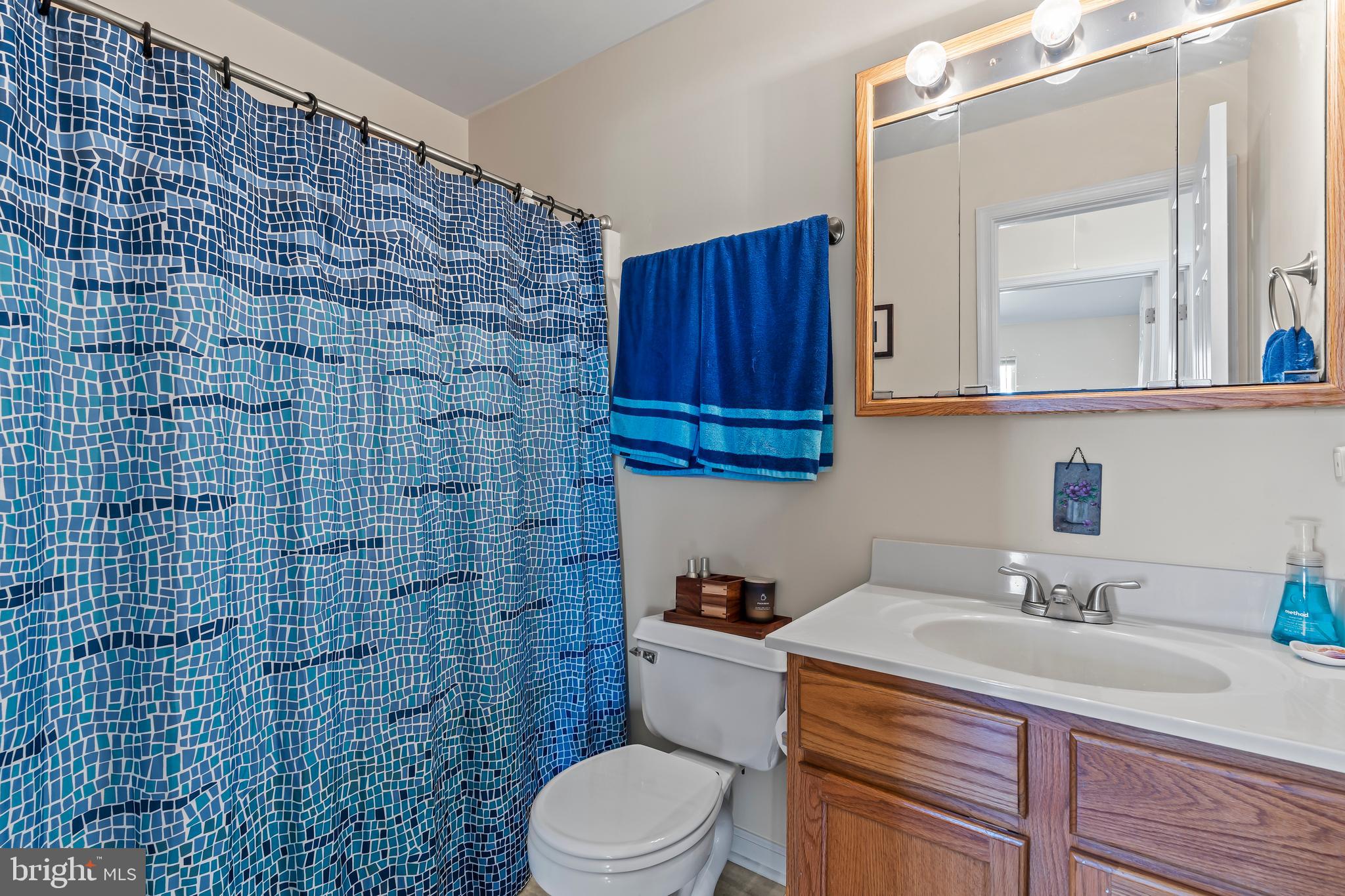 10507 Bushwillow Way