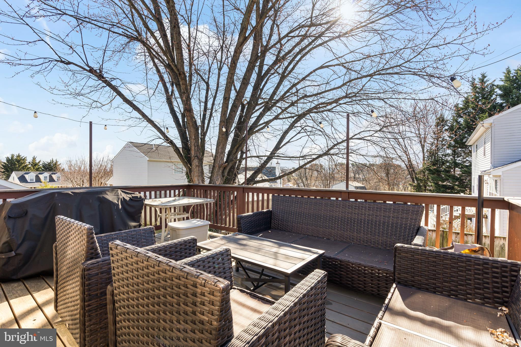 10507 Bushwillow Way