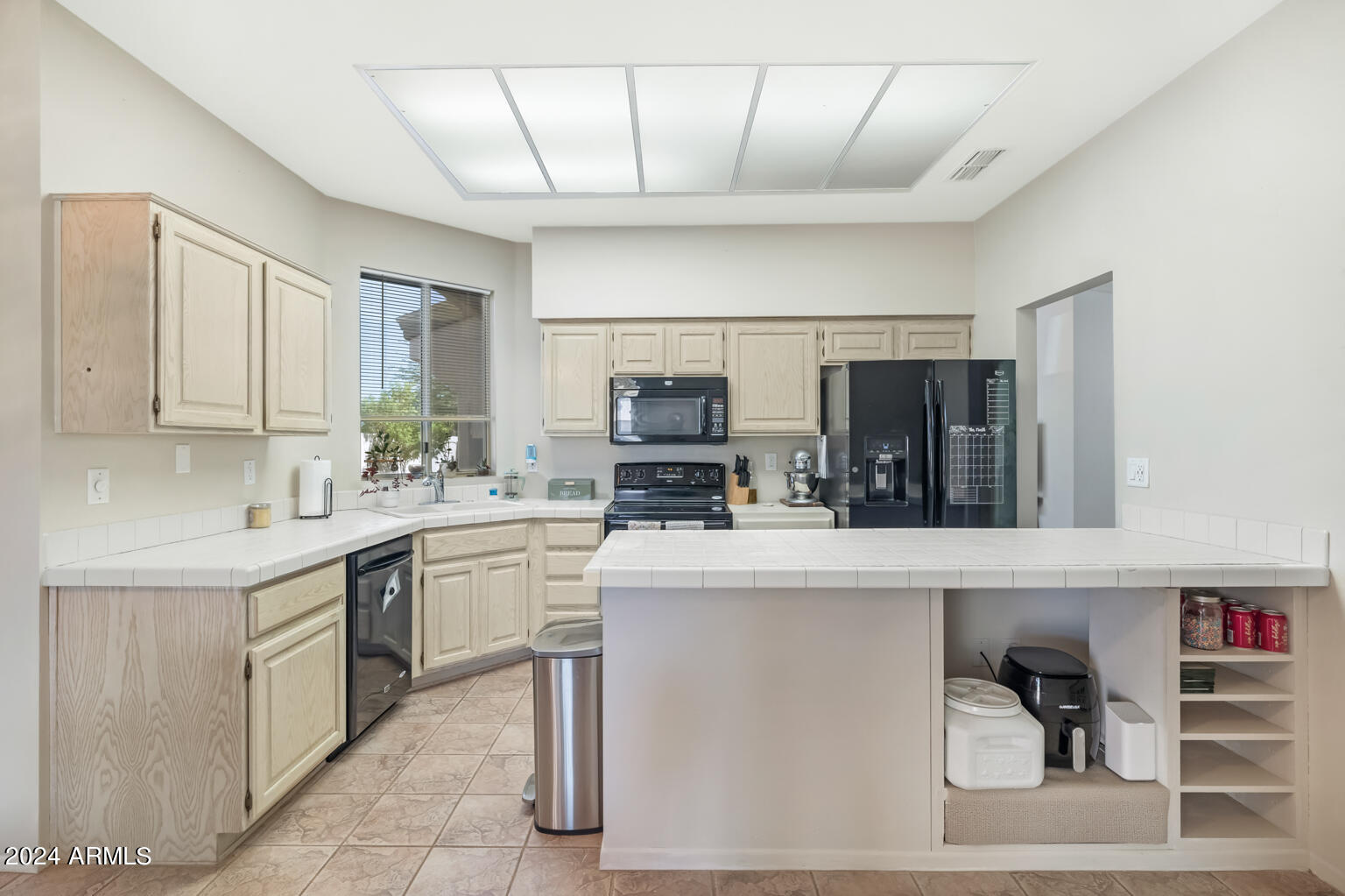 20003 N GREENVIEW Drive