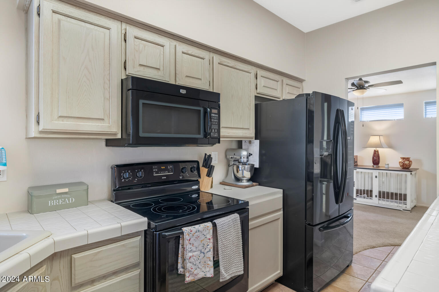 20003 N GREENVIEW Drive