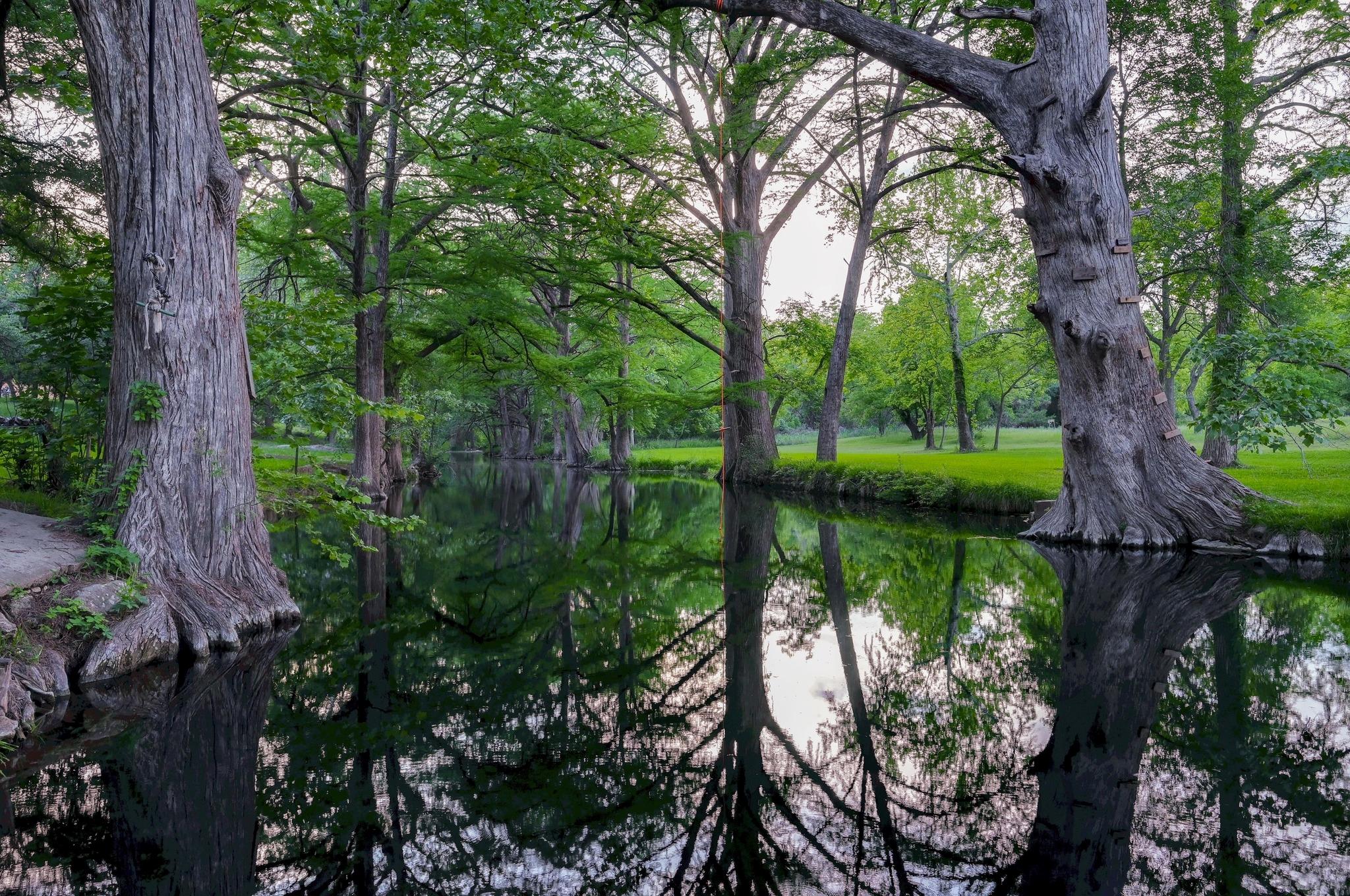 400 Cypress Creek LN