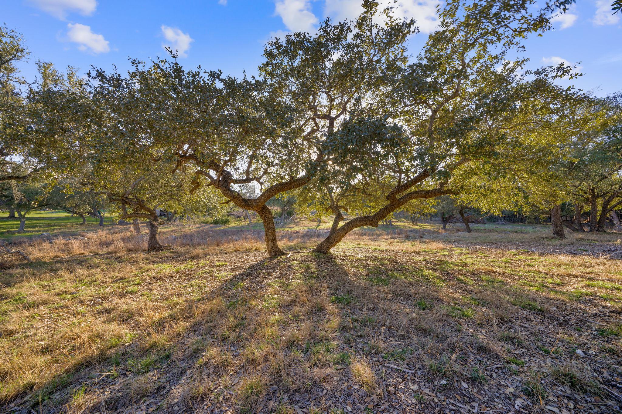 539 Clay Ridge RDG