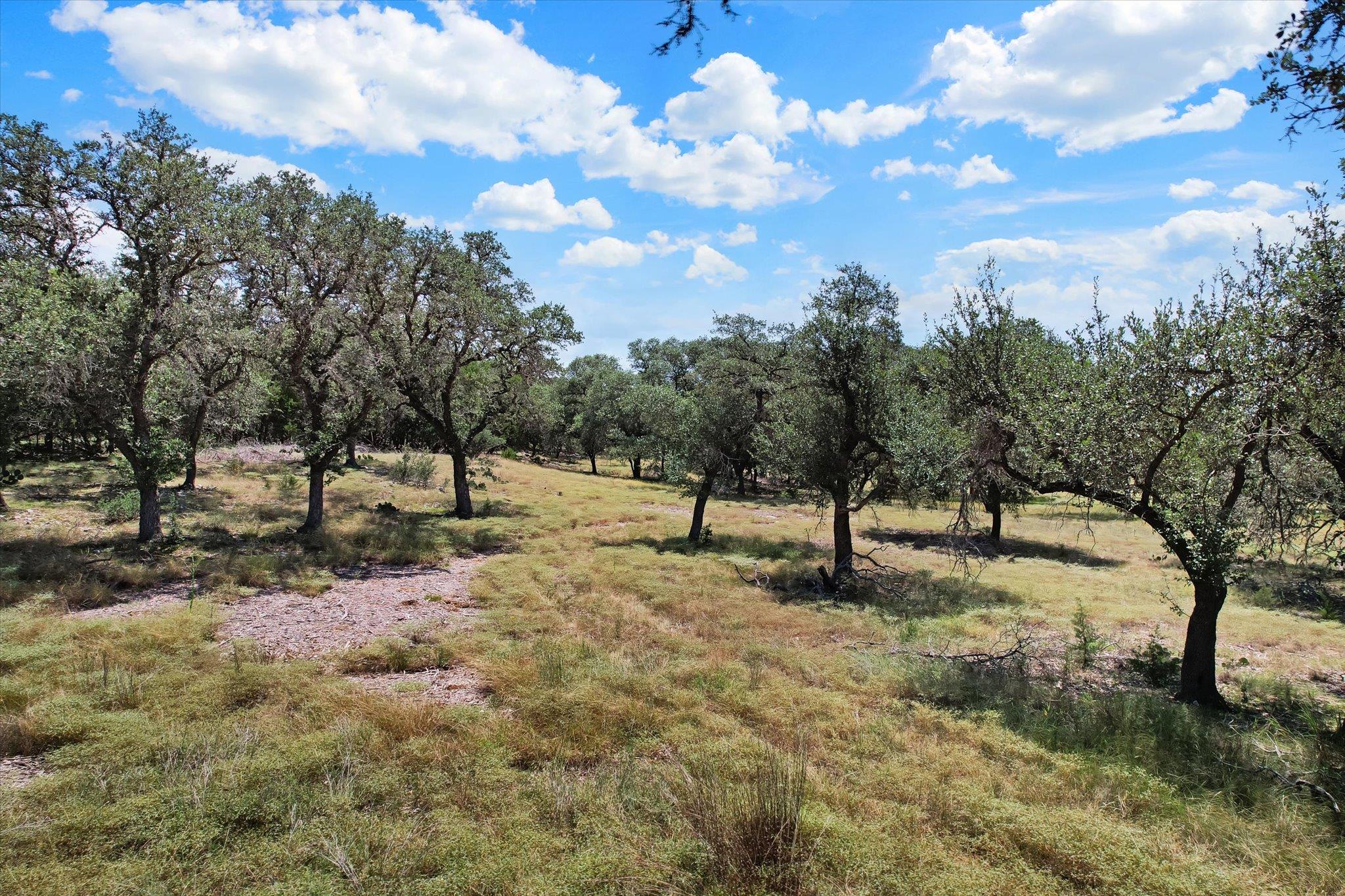 539 Clay Ridge RDG