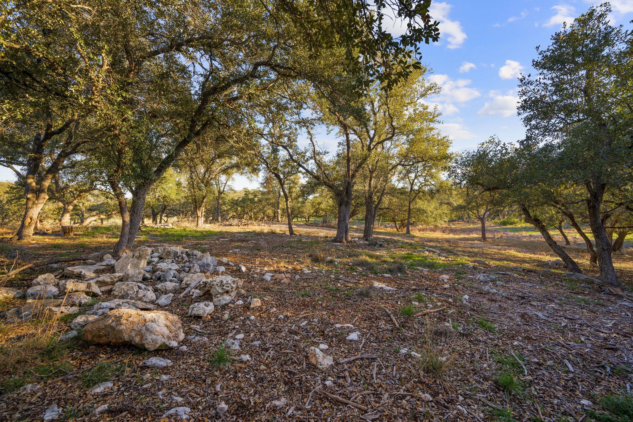 539 Clay Ridge RDG