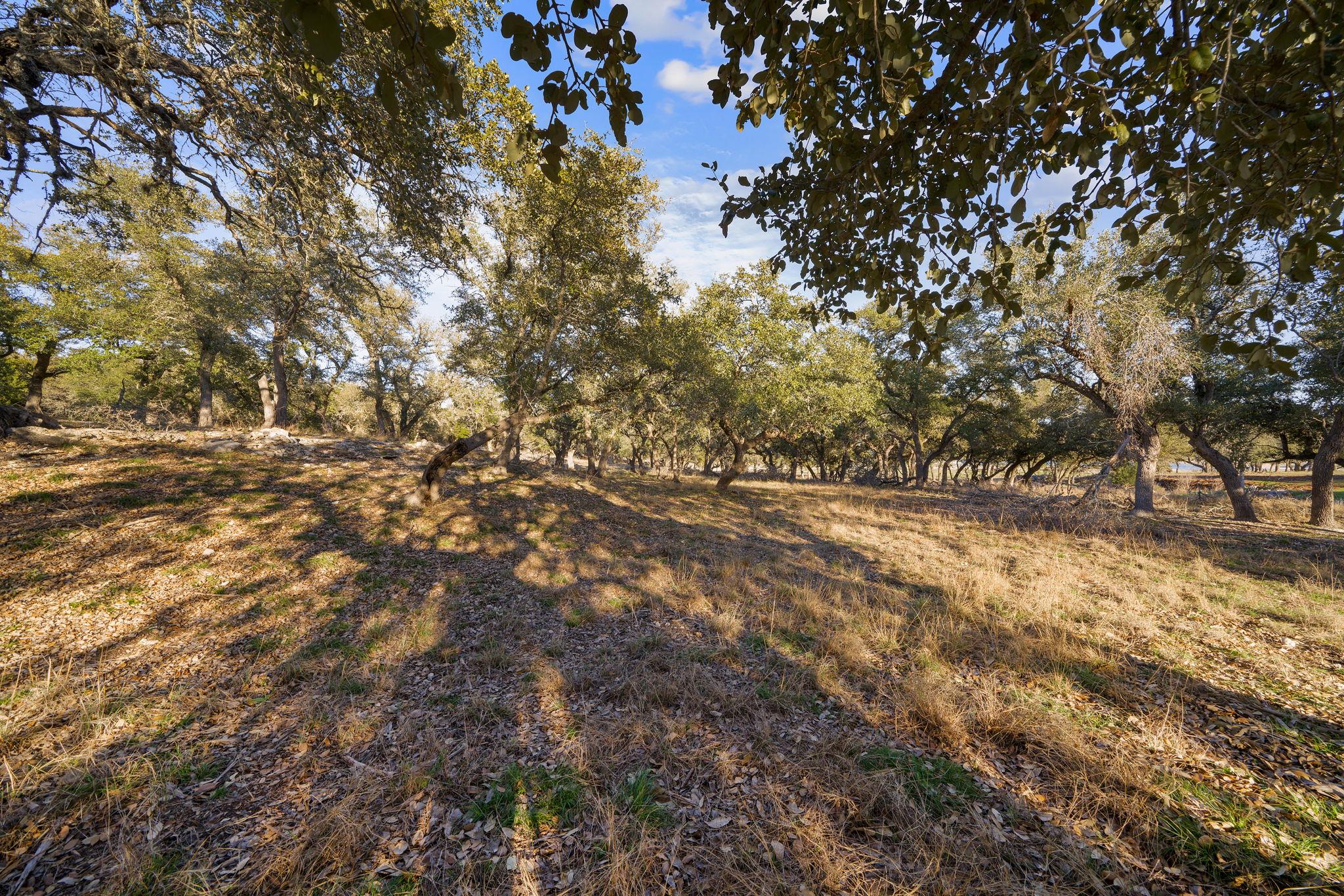 539 Clay Ridge RDG