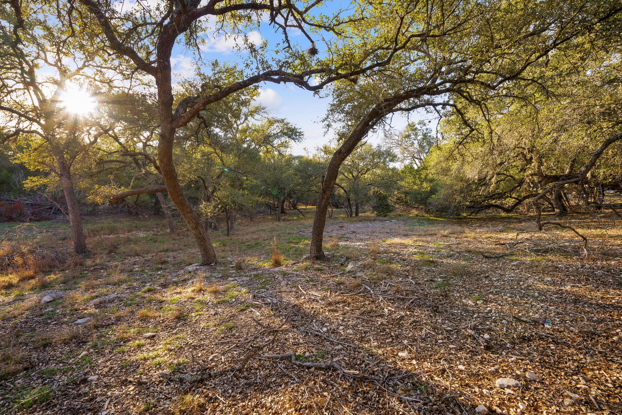 539 Clay Ridge RDG