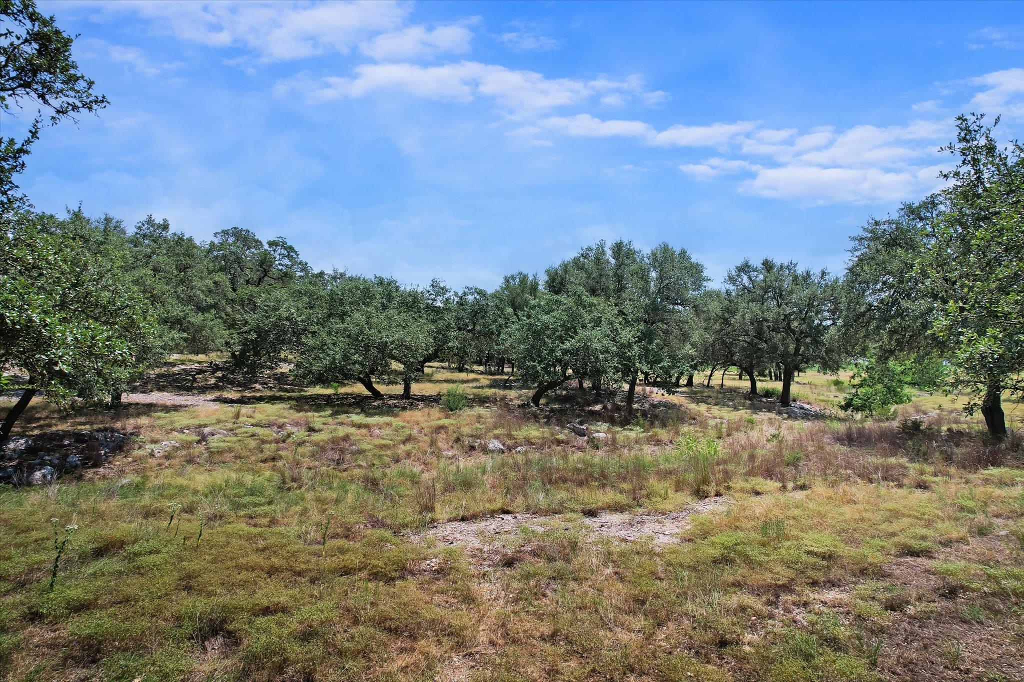 539 Clay Ridge RDG