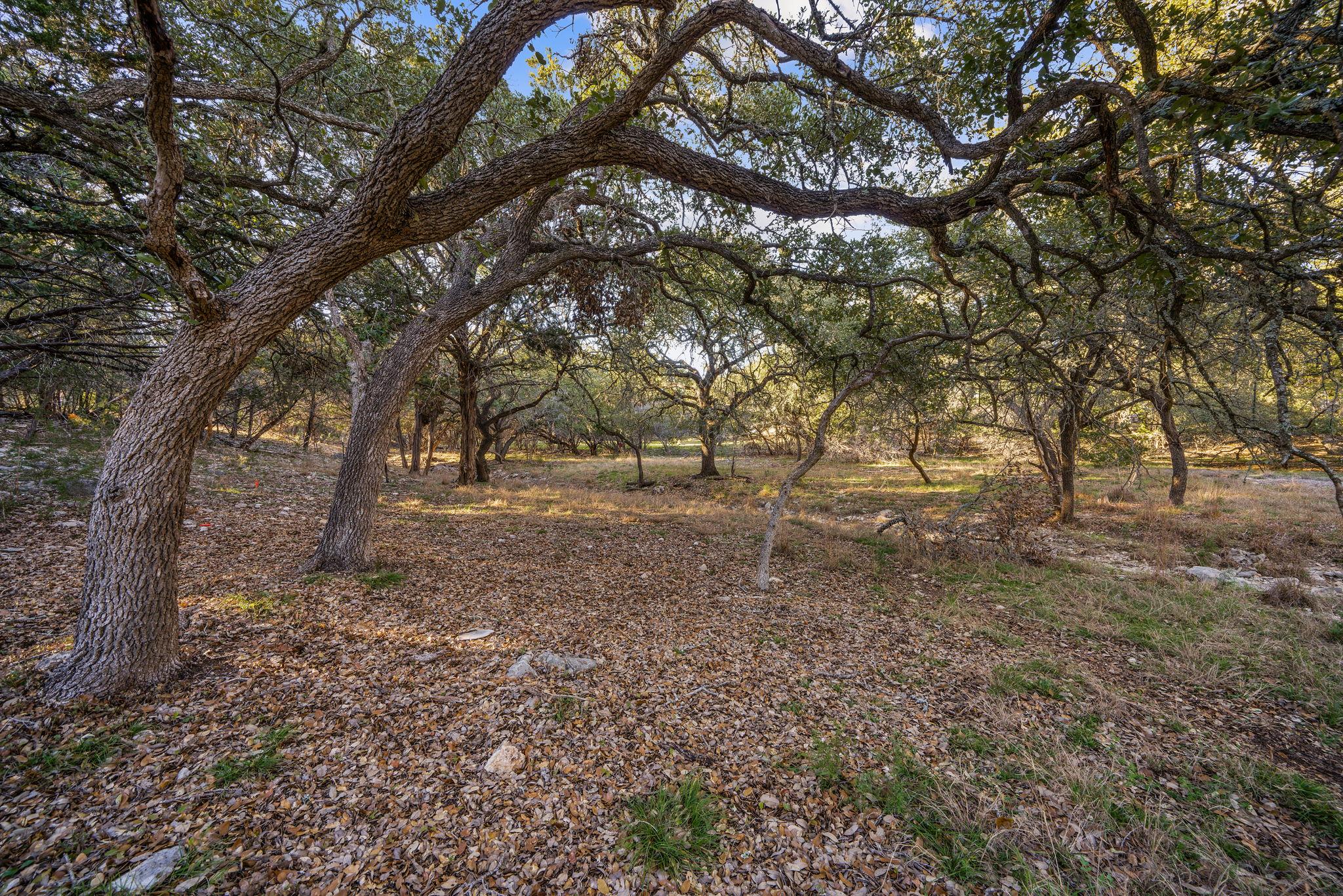 539 Clay Ridge RDG